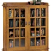 Double Bookcase with Glass Doors
