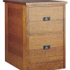 Two Drawer File Unit